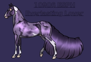 Thumbnail for 10906 ESPH Everlasting Lover