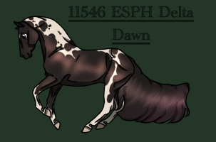 Thumbnail for 11546 ESPH Delta Dawn