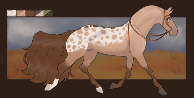 Thumbnail for 11853 Desert Snow