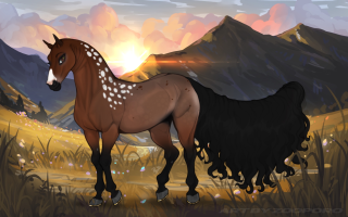 Thumbnail for 6562 Out of the Woods