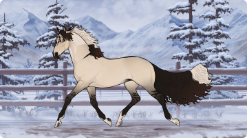 Thumbnail for 11896 Sheep Song