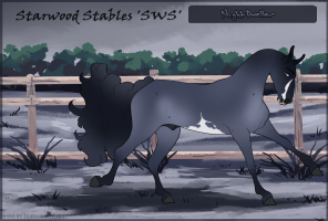 Thumbnail for 8934 SWS Night Dweller