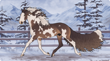 Thumbnail image for 10570 LPH Kohi