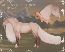 Thumbnail image for 10747 Justa Pretty boy