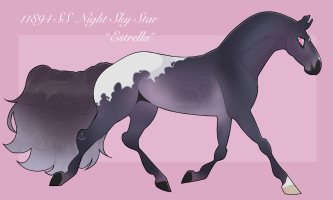 Thumbnail for 11894 SS Night Sky Star