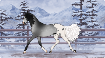 Thumbnail for 11971 SVS Greys Upon me