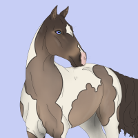 Thumbnail for 11304 Velvet Cowboy