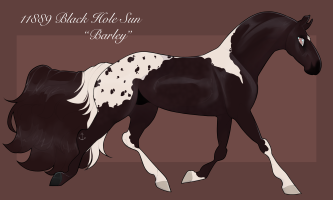 Thumbnail for 11889 SS Black Hole Sun