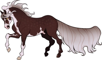 Thumbnail for 11875 ZXD New Testament