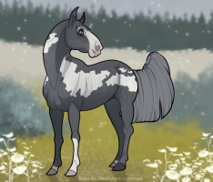 Thumbnail for 3705 LR Bombay Blue