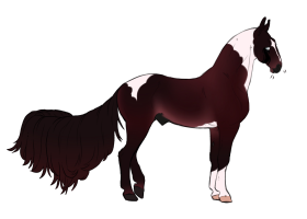 Thumbnail for 11881 CS Ruby Cabernet