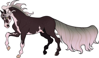 Thumbnail for 11875 ZXD New Testament