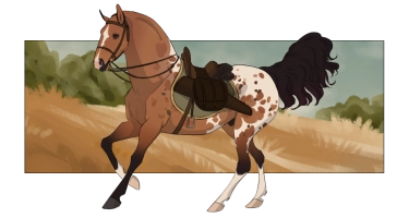 Thumbnail image for 11418 Monsieur Marseille