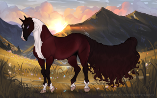 Thumbnail image for 10313 Wine After Midnight