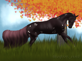 Thumbnail image for 11549 LR Check Please