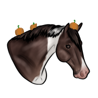 Thumbnail for 11525 SL Toasted Espresso