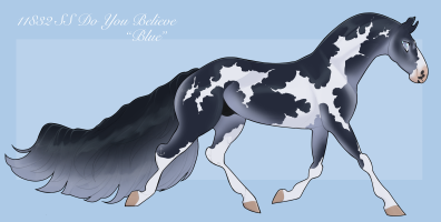 Thumbnail for 11832 SS Do You Believe