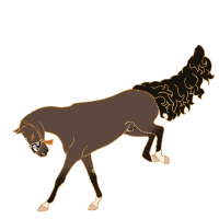 Thumbnail image for 11445 For Adventure