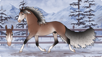 Thumbnail for 12052 BE Night Owl