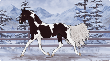 Thumbnail for 12053 Canigó