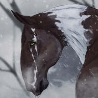 Thumbnail for 11696 Rask