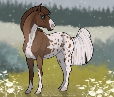 Thumbnail for 1290 FS Like A River