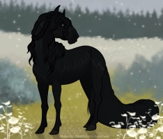 10006 KM Shadow Of My Past Thumbnail