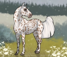 Thumbnail for 10609 KM Champagne With A Hint of Vanilla