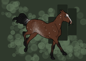 Thumbnail for 11625 Speckled Dancer