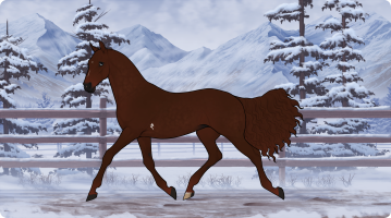 Thumbnail for 10823 Auburn's Silence Before Dawn