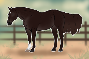 Thumbnail image for 12054 Brujos Adobe Rose