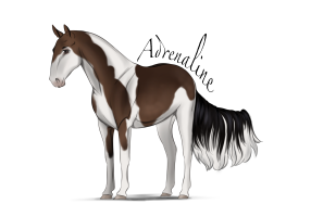 Thumbnail for 8888 Adrenaline