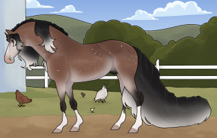 Thumbnail for 12052 BE Night Owl