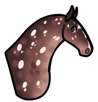 Thumbnail for 12073 KH Call It Self Medication