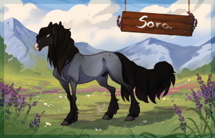 Thumbnail for 11727 Sora