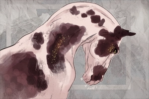 Thumbnail for 7590 Lashva