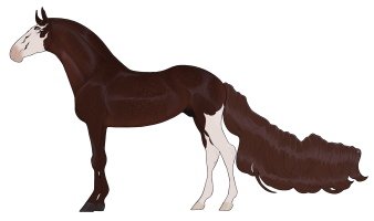 Thumbnail for 9960 We Ride at Dawn