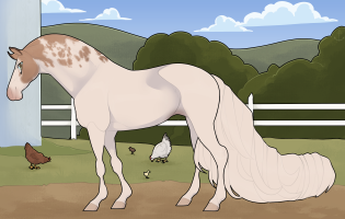 Thumbnail of 11522 BE The Last Chapter