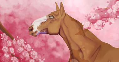 Thumbnail for 12158 Paramour on High