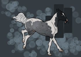 Thumbnail for 0217 Royal Agni Kai