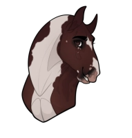 Thumbnail for 12091 TH On Stranger Tides