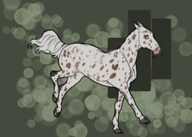 Thumbnail for 11776 Nutmeg Avalanche