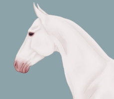 Thumbnail of 12264 White Cloud