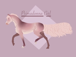 Thumbnail for 7045 CCS Primadonna Girl