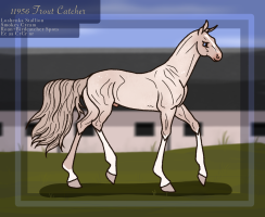 Thumbnail for 11956 Trout Catcher