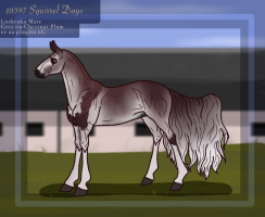 Thumbnail for 10397 Squirrel Days