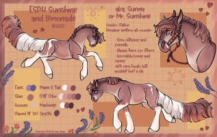 Thumbnail image for 8851 ESPH Sunshine And Lemonade