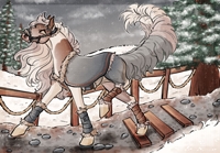 Thumbnail for 11527 Twinkle Hooves