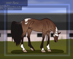 Thumbnail of 12223 Spera