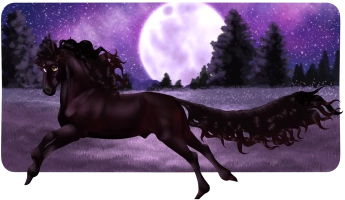 Thumbnail for 12207 Mort's Burberry